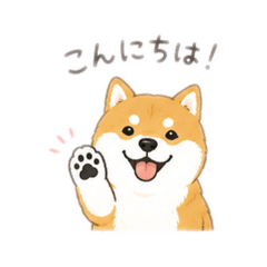 mai_20260825125050