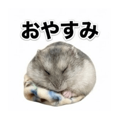 ji_________ko23