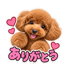 mai_20260825130918