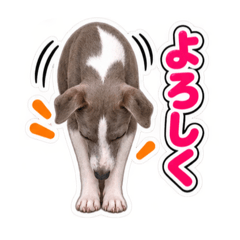 Akira Takahashi_20260825131802