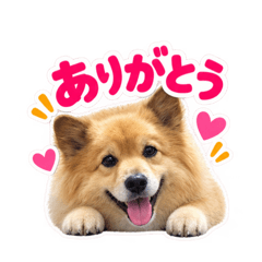 tototo_20260825131937