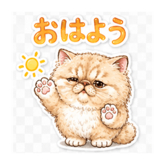 Bux_20260825131534
