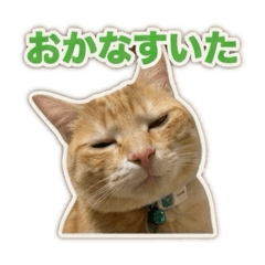 popo_20260825134919