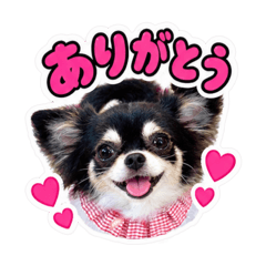 toshi_20260825140037