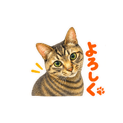 satochi_20260825140106
