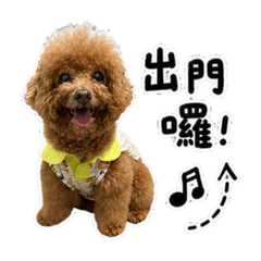 Tango的搗蛋小日子