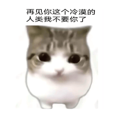 咪咪貓貓③