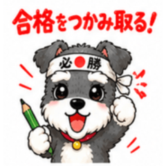 Schnauzer Spirit: Small Paws, Big Goals