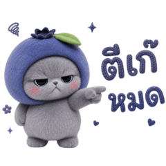 Cute gray cat, mangosteen head, 5_12