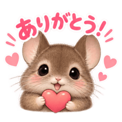 popo_20260825145034