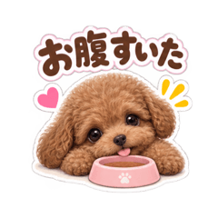 popo_20260825150234