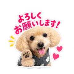coco_20260825144421