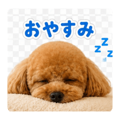 yumi_20260825151328