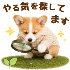 negative corgi