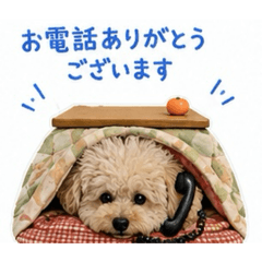YUSEI2GOU_20260825155510
