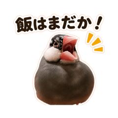 sweet Java sparrow stamp