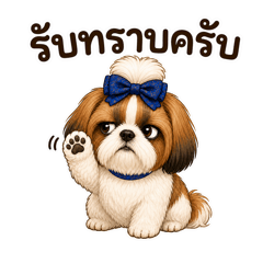 Sassy Shih Tzu at Work