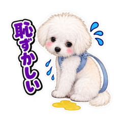 IKKI_20260825172232