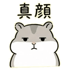 Cozy Pudge Hamster Daily Chibi
