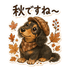autumn dachshund replies | black & tan