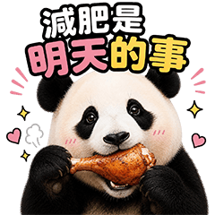 FUNNY PANDA 18
