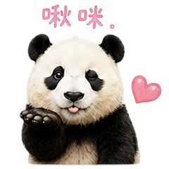 FUNNY PANDA 24-3