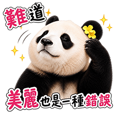 FUNNY PANDA 24-2