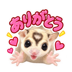 momonganomomochi-