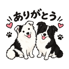 TOMY_20260825173937