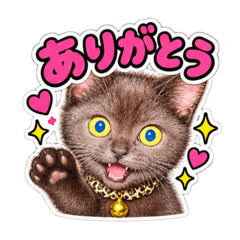 MARU_20260825175953