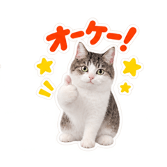 favorite catstamp