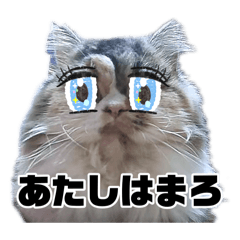 moooriii!!!_20260825174335