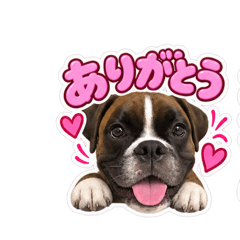 UNAGI_20260825181043