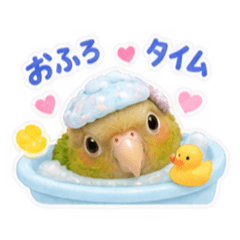 u_shop_20260825180549