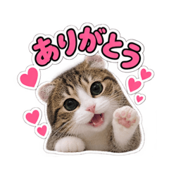 Lovely chiko chan