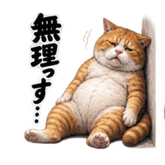 chika_20260825191114