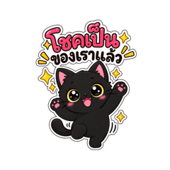 Back Cat Everyday