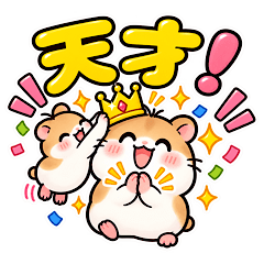 Hamster Full of Compliments