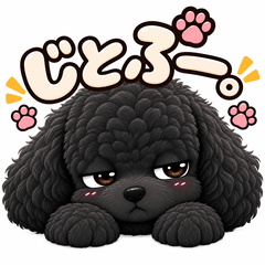 Jitopuu Black Poodle with narrowed eyes