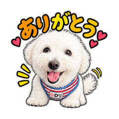 aikichi_20260825203659