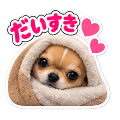 Studio Sachi_20260825205629