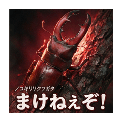 HL Made_20260825210517