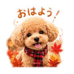 koko_20260825210239