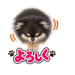 momo_20260825212921
