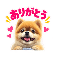 hana_20260825214017