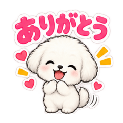 Cute Fluffy Puppy Life