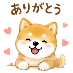 An energetic dog in everyday life