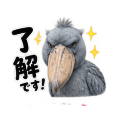 AOI_20260825215816