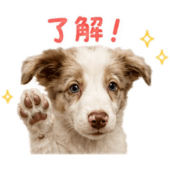 hamupote_20260825220355