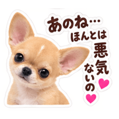 Studio Sachi_20260825221032